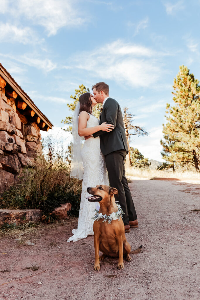 dog friendly Halfway House Micro Wedding Boulder Colorado in the fall