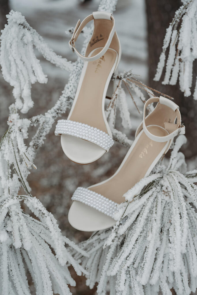 winter wedding in north dakota