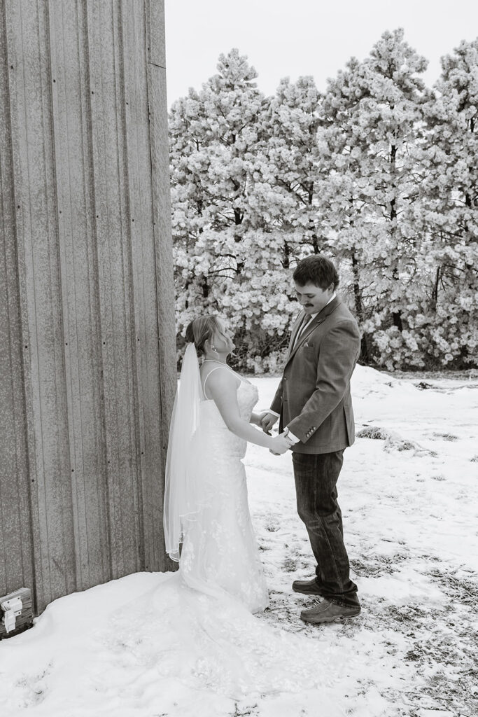 winter wedding in north dakota