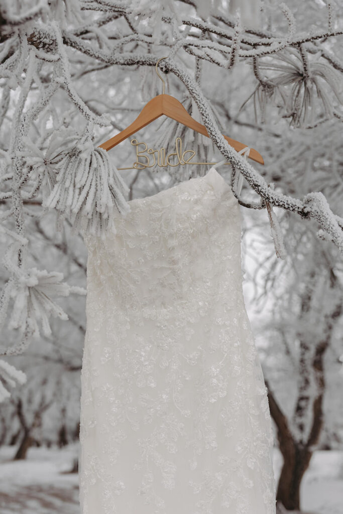 winter wedding in north dakota