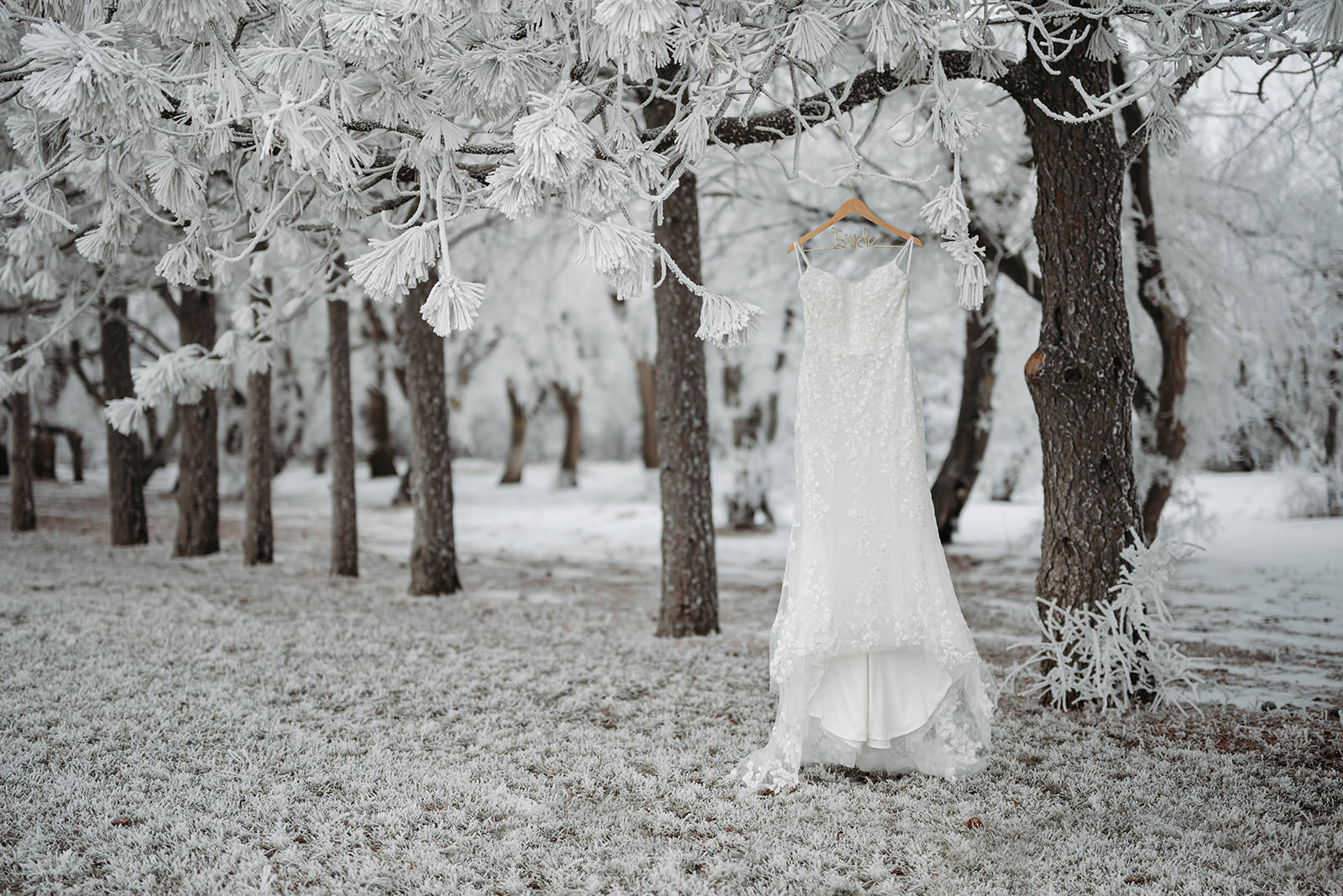 winter wedding in north dakota