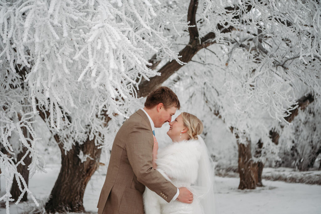 winter wedding in north dakota