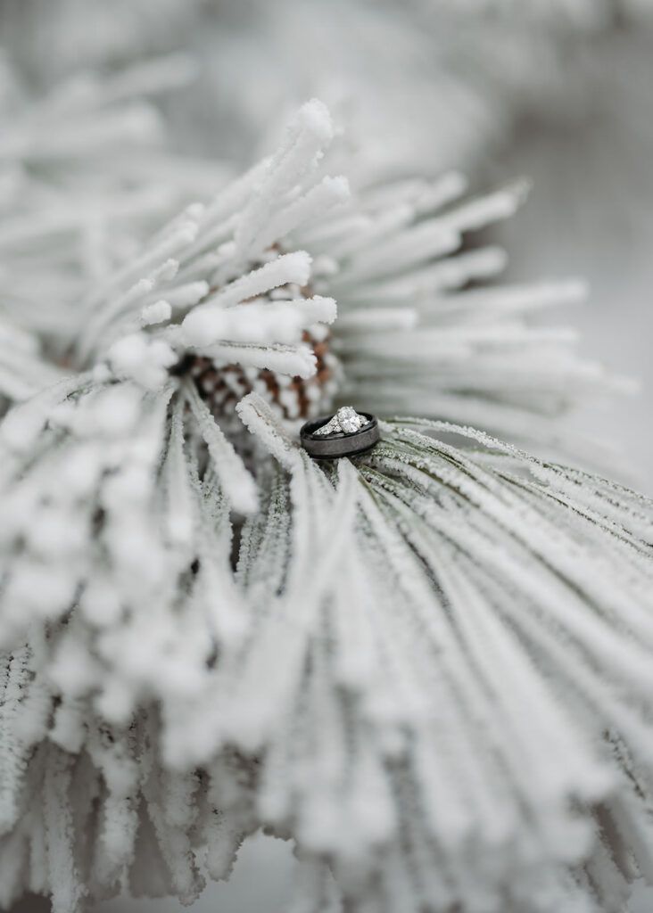 winter wedding in north dakota