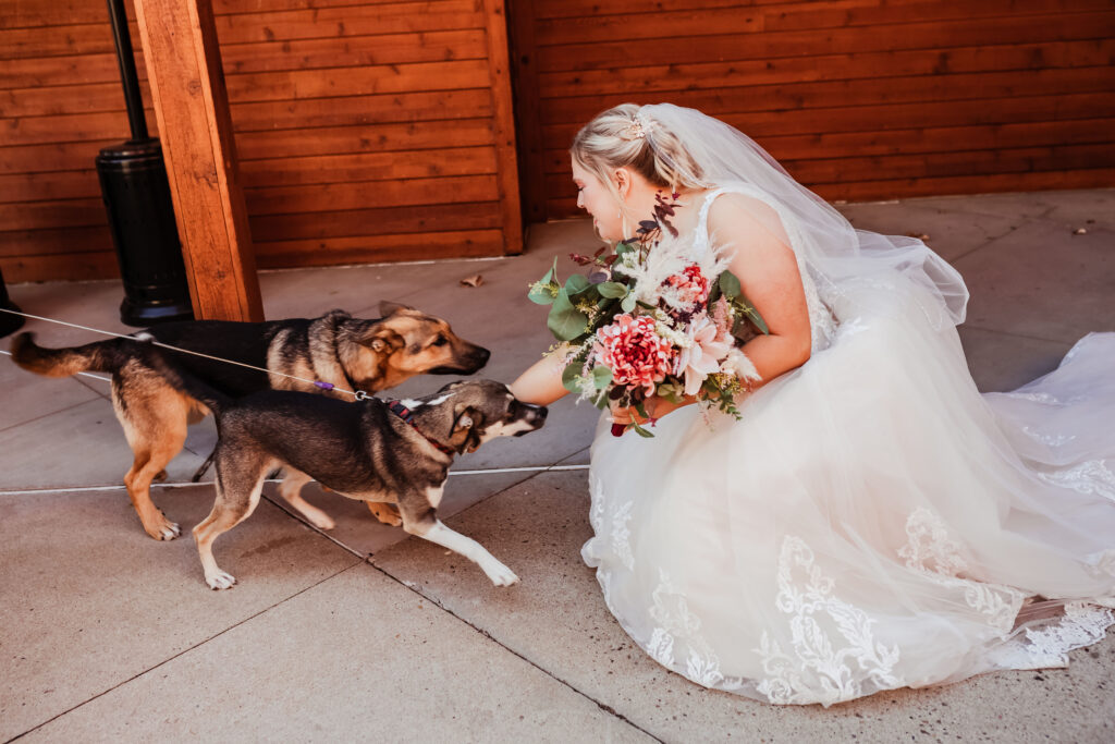 Medora North Dakota Wedding