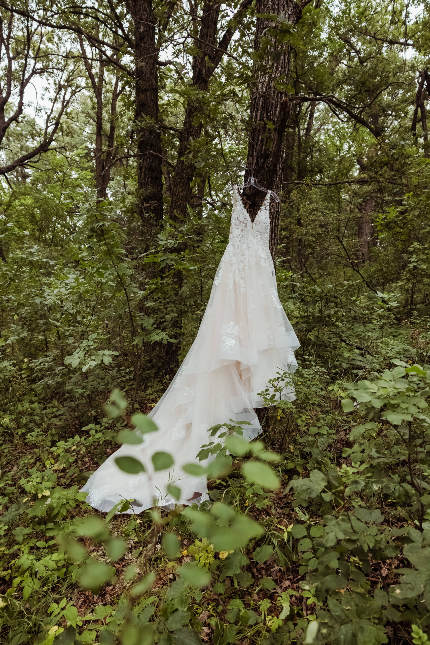 backyard wedding in mandaree, ND
